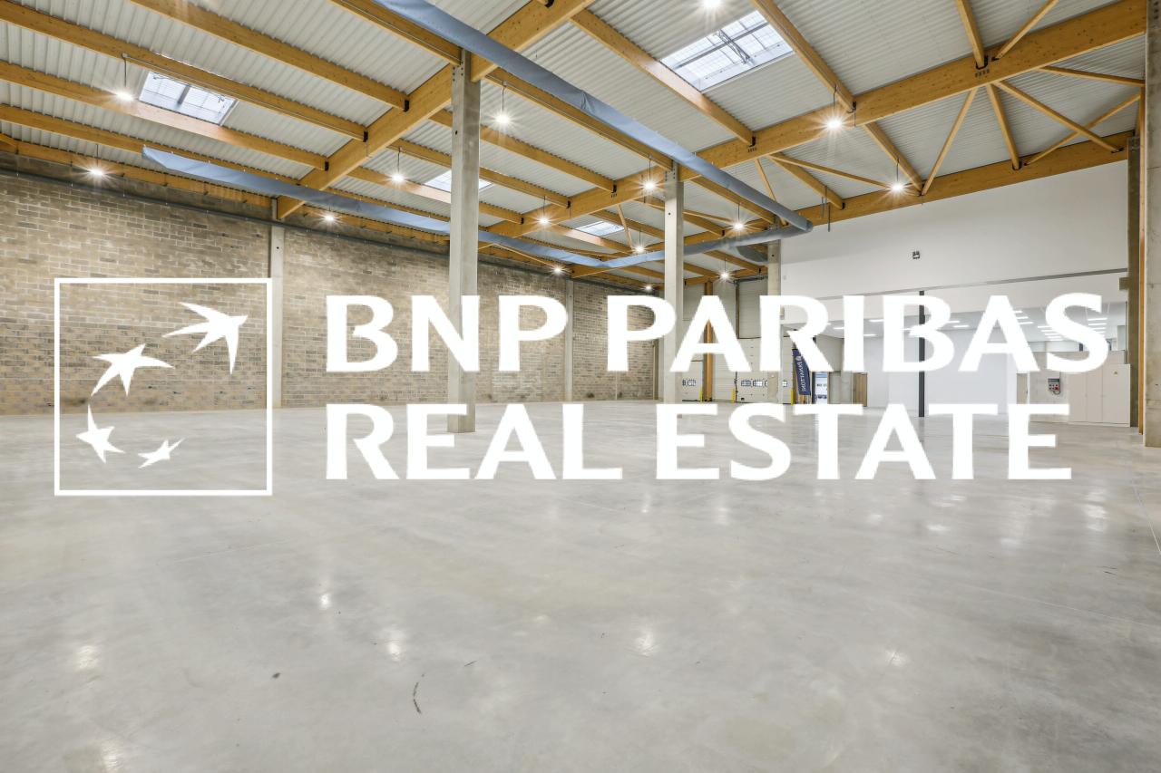 Local d'activité Moissy-Cramayel 2129m² Location local d'activité Moissy-Cramayel Seine-et-Marne OLACT2201095 10